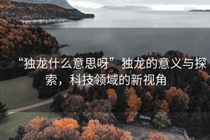 “独龙什么意思呀”独龙的意义与探索，科技领域的新视角