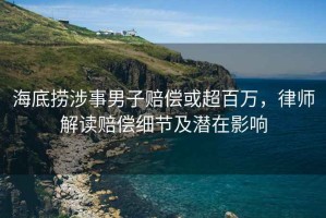 海底捞涉事男子赔偿或超百万，律师解读赔偿细节及潜在影响