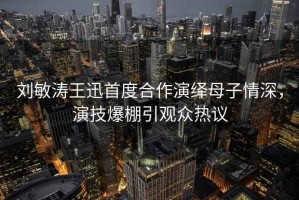 刘敏涛王迅首度合作演绎母子情深，演技爆棚引观众热议