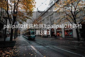 palipali2线路检测3:palipali2线路检测3果1