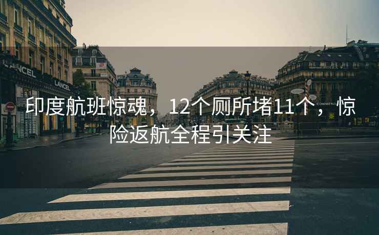 印度航班惊魂，12个厕所堵11个，惊险返航全程引关注