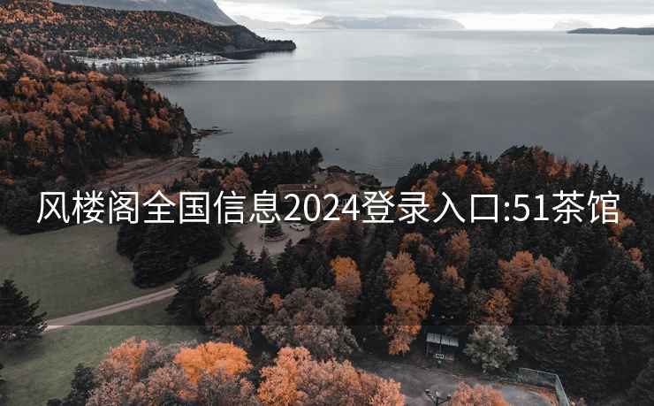 风楼阁全国信息2024登录入口:51茶馆