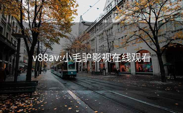 v88av:小毛驴影视在线观看