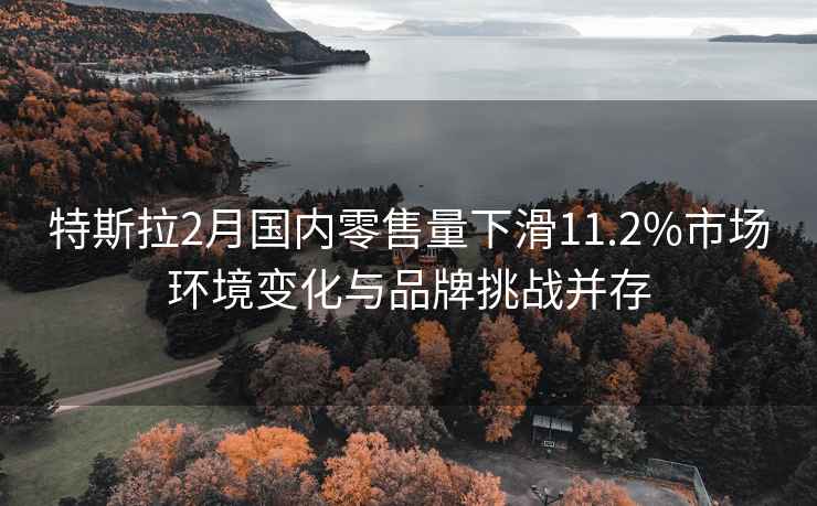 特斯拉2月国内零售量下滑11.2%市场环境变化与品牌挑战并存