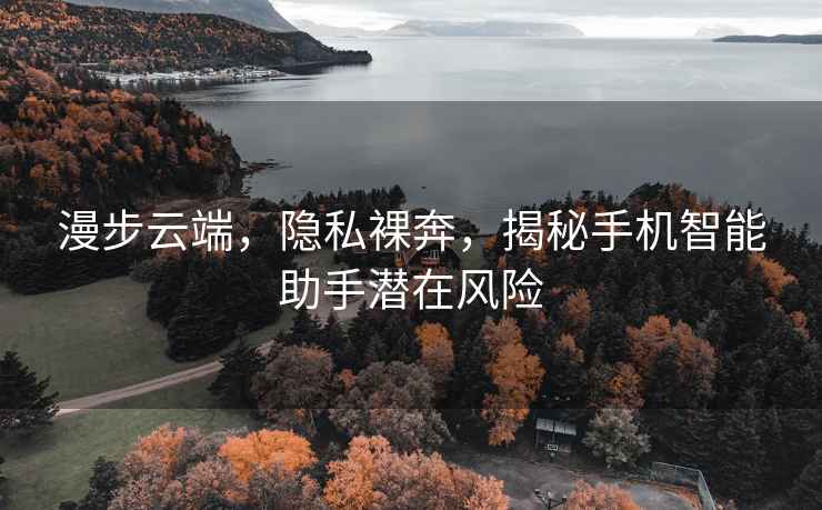 漫步云端，隐私裸奔，揭秘手机智能助手潜在风险