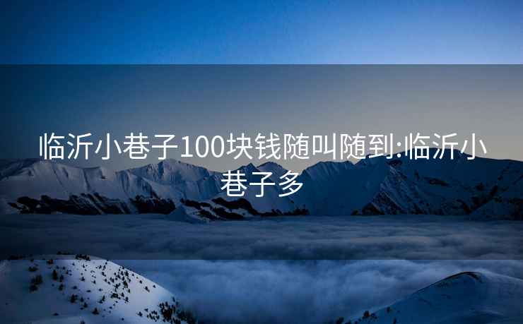 临沂小巷子100块钱随叫随到:临沂小巷子多