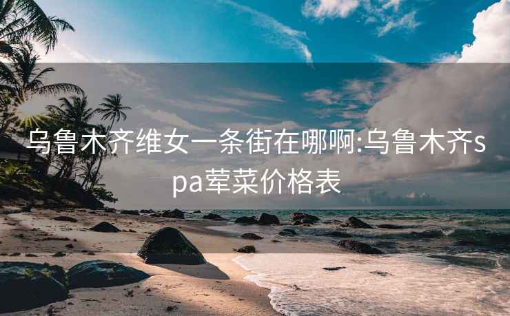 乌鲁木齐维女一条街在哪啊:乌鲁木齐spa荤菜价格表