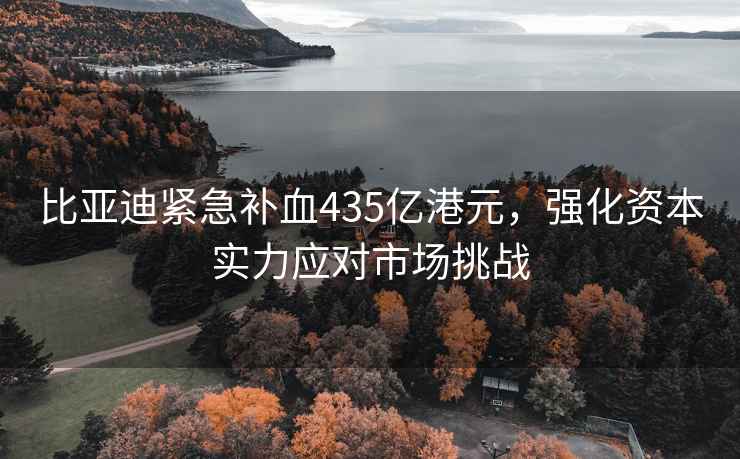 比亚迪紧急补血435亿港元，强化资本实力应对市场挑战