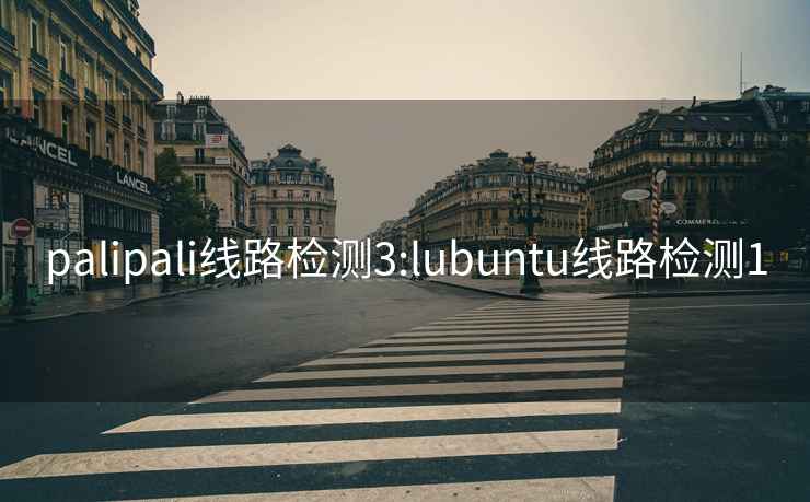 palipali线路检测3:lubuntu线路检测1