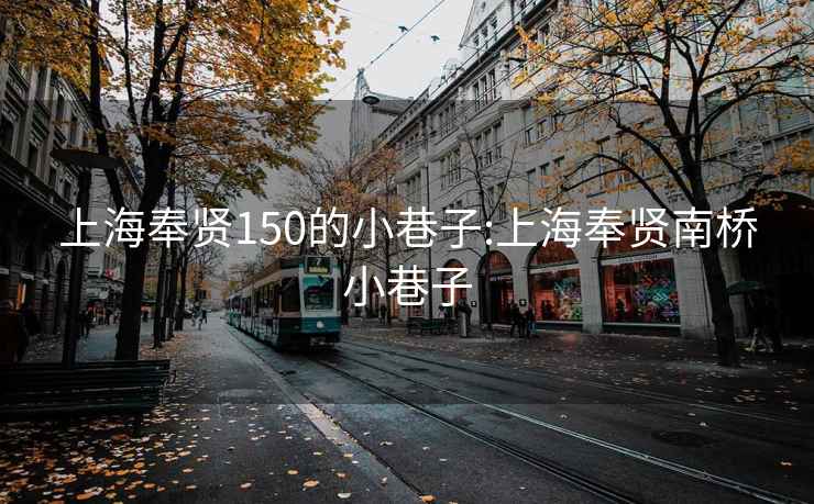 上海奉贤150的小巷子:上海奉贤南桥小巷子