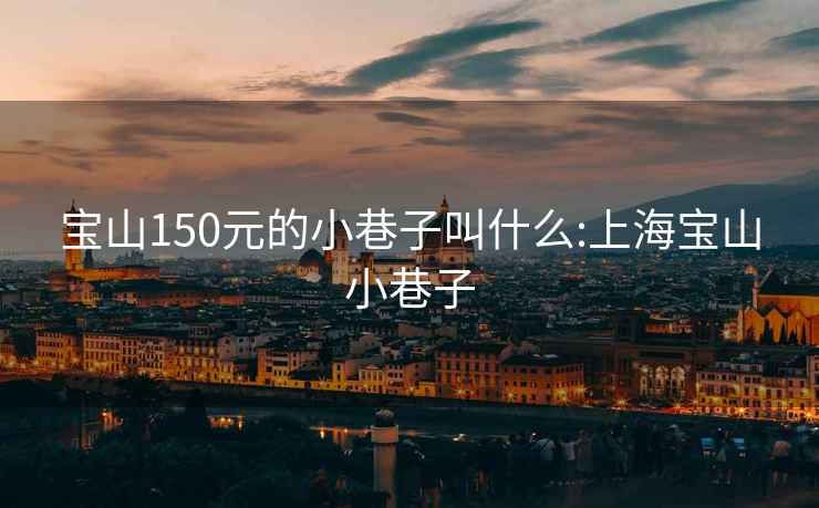 宝山150元的小巷子叫什么:上海宝山小巷子