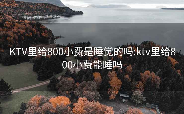 KTV里给800小费是睡觉的吗:ktv里给800小费能睡吗