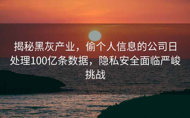 揭秘黑灰产业，偷个人信息的公司日处理100亿条数据，隐私安全面临严峻挑战