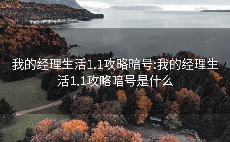 我的经理生活1.1攻略暗号:我的经理生活1.1攻略暗号是什么