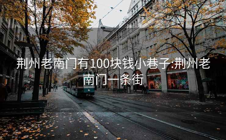 荆州老南门有100块钱小巷子:荆州老南门一条街