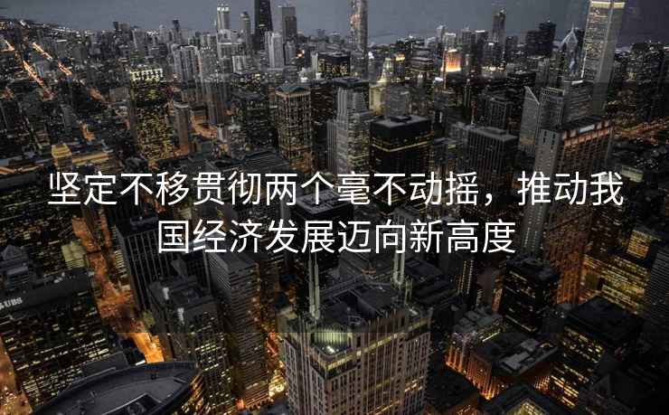 坚定不移贯彻两个毫不动摇，推动我国经济发展迈向新高度