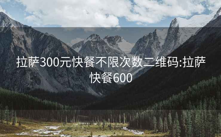 拉萨300元快餐不限次数二维码:拉萨快餐600