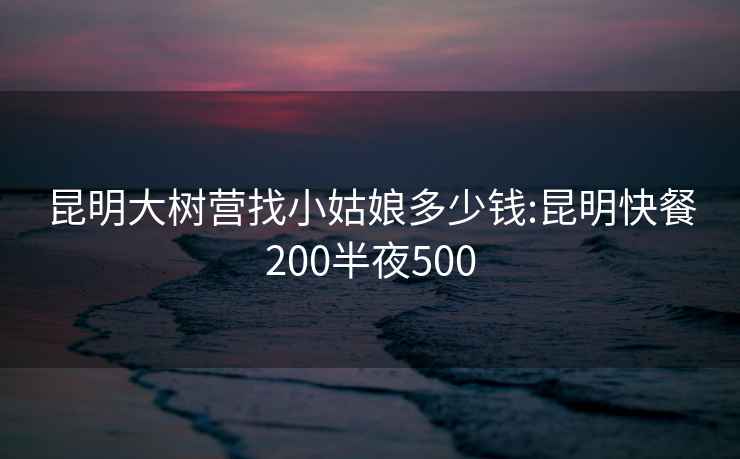 昆明大树营找小姑娘多少钱:昆明快餐200半夜500