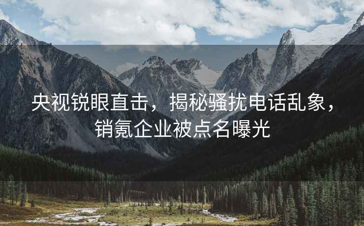 央视锐眼直击，揭秘骚扰电话乱象，销氪企业被点名曝光