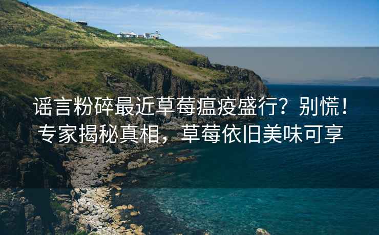 谣言粉碎最近草莓瘟疫盛行？别慌！专家揭秘真相，草莓依旧美味可享