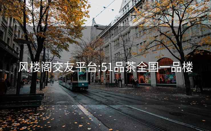 风楼阁交友平台:51品茶全国一品楼