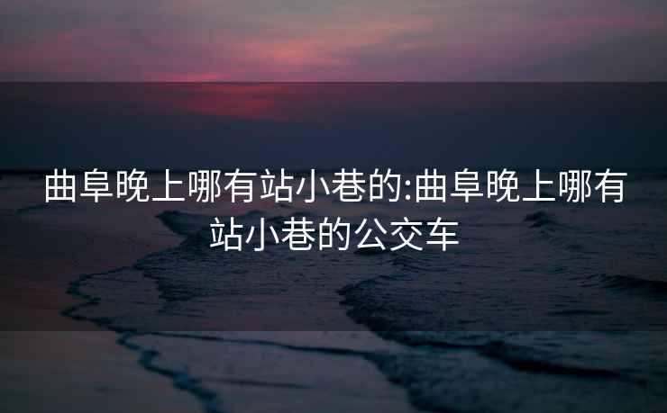 曲阜晚上哪有站小巷的:曲阜晚上哪有站小巷的公交车