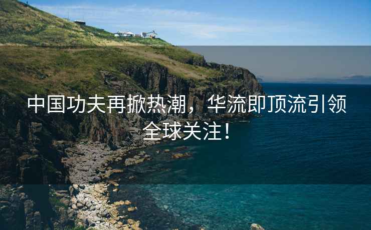 中国功夫再掀热潮，华流即顶流引领全球关注！