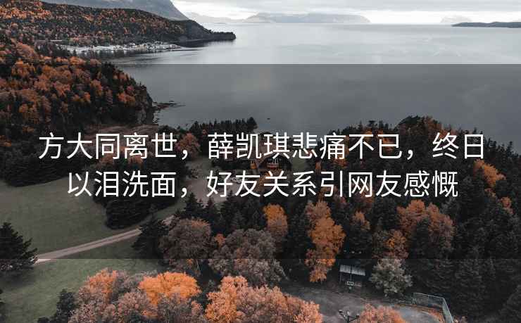 方大同离世，薛凯琪悲痛不已，终日以泪洗面，好友关系引网友感慨