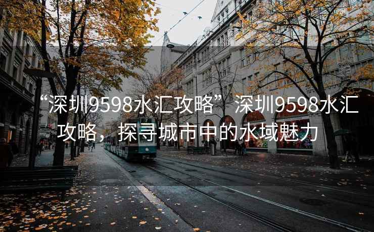 “深圳9598水汇攻略”深圳9598水汇攻略，探寻城市中的水域魅力