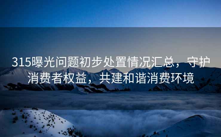 315曝光问题初步处置情况汇总，守护消费者权益，共建和谐消费环境