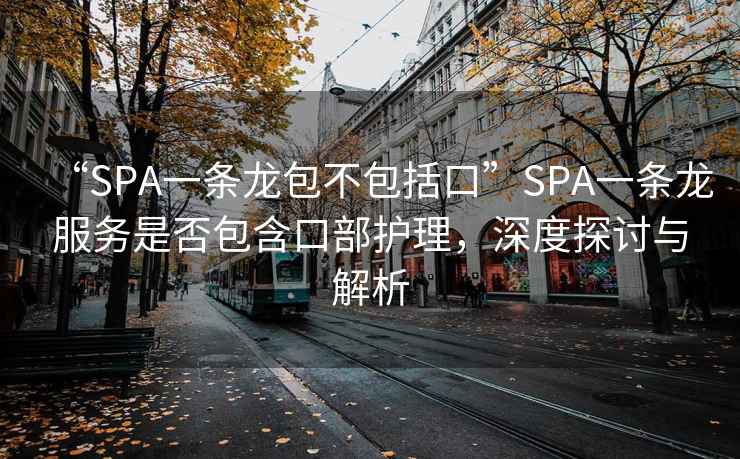 “SPA一条龙包不包括口”SPA一条龙服务是否包含口部护理，深度探讨与解析