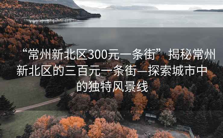 “常州新北区300元一条街”揭秘常州新北区的三百元一条街—探索城市中的独特风景线