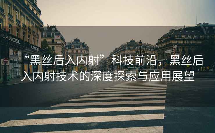 “黑丝后入内射”科技前沿，黑丝后入内射技术的深度探索与应用展望