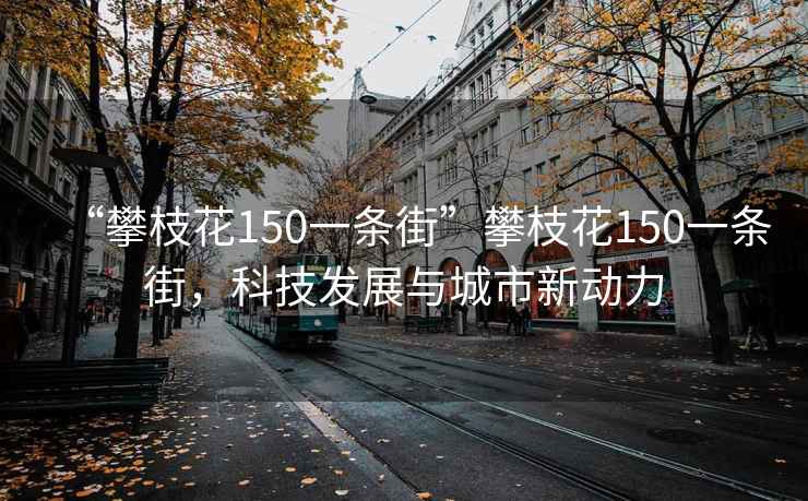 “攀枝花150一条街”攀枝花150一条街，科技发展与城市新动力