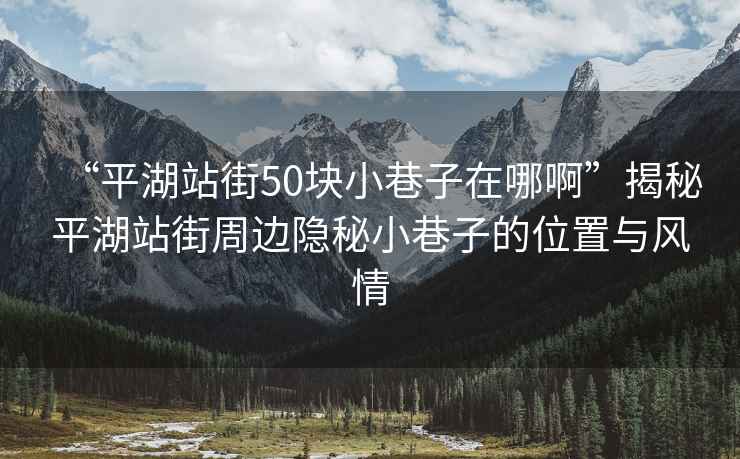 “平湖站街50块小巷子在哪啊”揭秘平湖站街周边隐秘小巷子的位置与风情