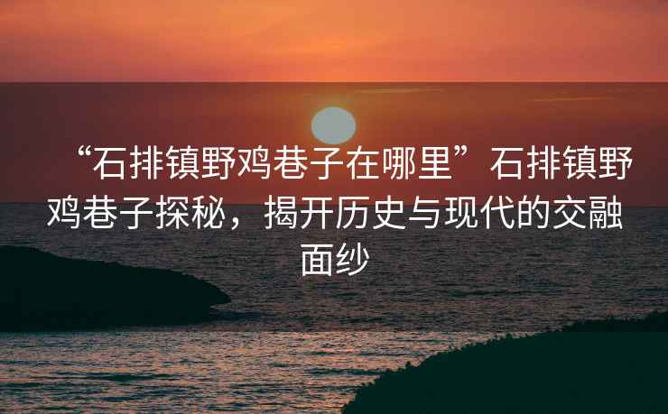 “石排镇野鸡巷子在哪里”石排镇野鸡巷子探秘，揭开历史与现代的交融面纱