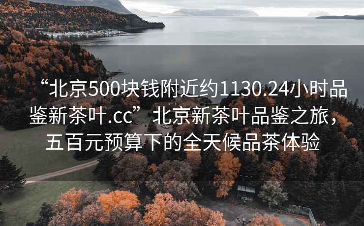 “北京500块钱附近约1130.24小时品鉴新茶叶.cc”北京新茶叶品鉴之旅，五百元预算下的全天候品茶体验