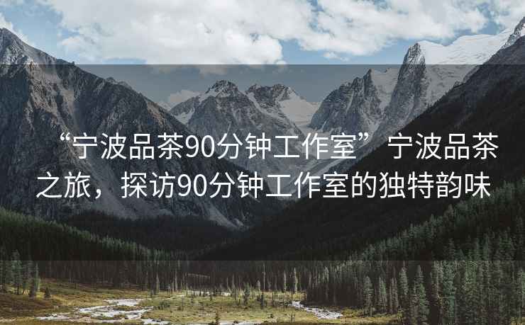 “宁波品茶90分钟工作室”宁波品茶之旅，探访90分钟工作室的独特韵味