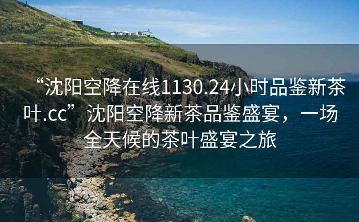 “沈阳空降在线1130.24小时品鉴新茶叶.cc”沈阳空降新茶品鉴盛宴，一场全天候的茶叶盛宴之旅