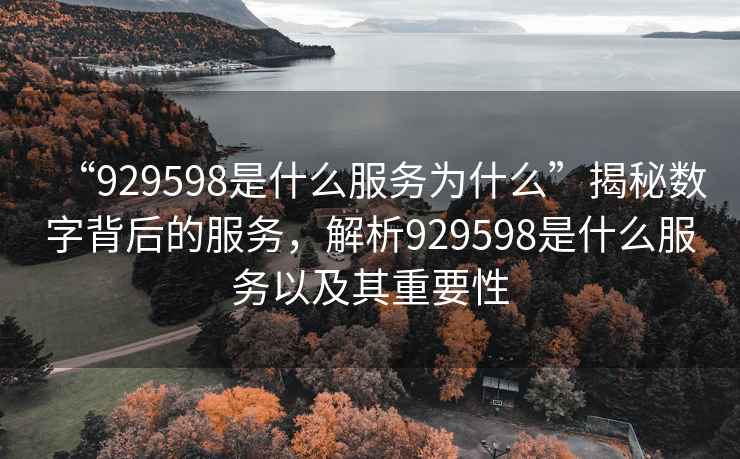 “929598是什么服务为什么”揭秘数字背后的服务，解析929598是什么服务以及其重要性