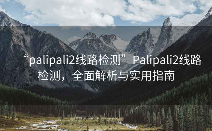 “palipali2线路检测”Palipali2线路检测，全面解析与实用指南