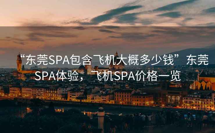 “东莞SPA包含飞机大概多少钱”东莞SPA体验，飞机SPA价格一览