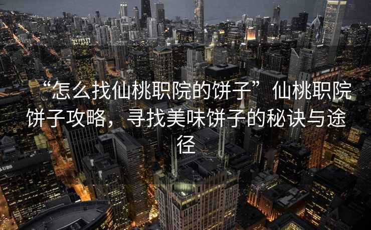 “怎么找仙桃职院的饼子”仙桃职院饼子攻略，寻找美味饼子的秘诀与途径