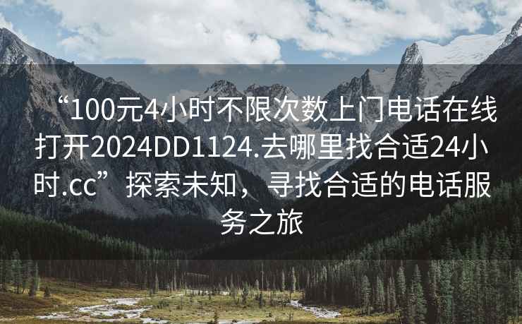 “100元4小时不限次数上门电话在线打开2024DD1124.去哪里找合适24小时.cc”探索未知，寻找合适的电话服务之旅