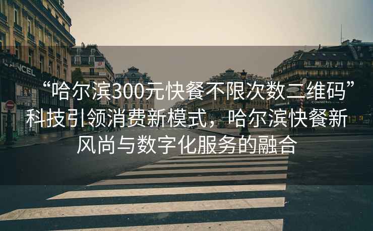 “哈尔滨300元快餐不限次数二维码”科技引领消费新模式，哈尔滨快餐新风尚与数字化服务的融合