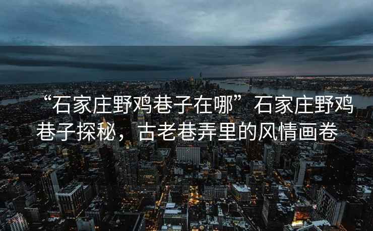 “石家庄野鸡巷子在哪”石家庄野鸡巷子探秘，古老巷弄里的风情画卷