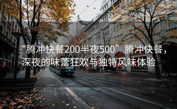 “腾冲快餐200半夜500”腾冲快餐，深夜的味蕾狂欢与独特风味体验