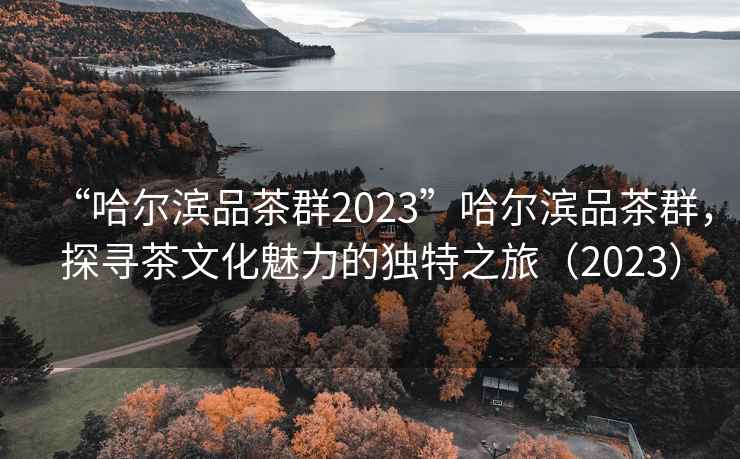 “哈尔滨品茶群2023”哈尔滨品茶群，探寻茶文化魅力的独特之旅（2023）