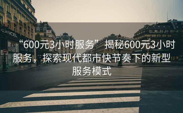 “600元3小时服务”揭秘600元3小时服务，探索现代都市快节奏下的新型服务模式